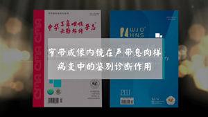 窄带成像内镜在声带息肉样病变中的鉴别诊断作用